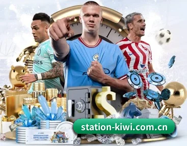 station-kiwi.com.cn的故事